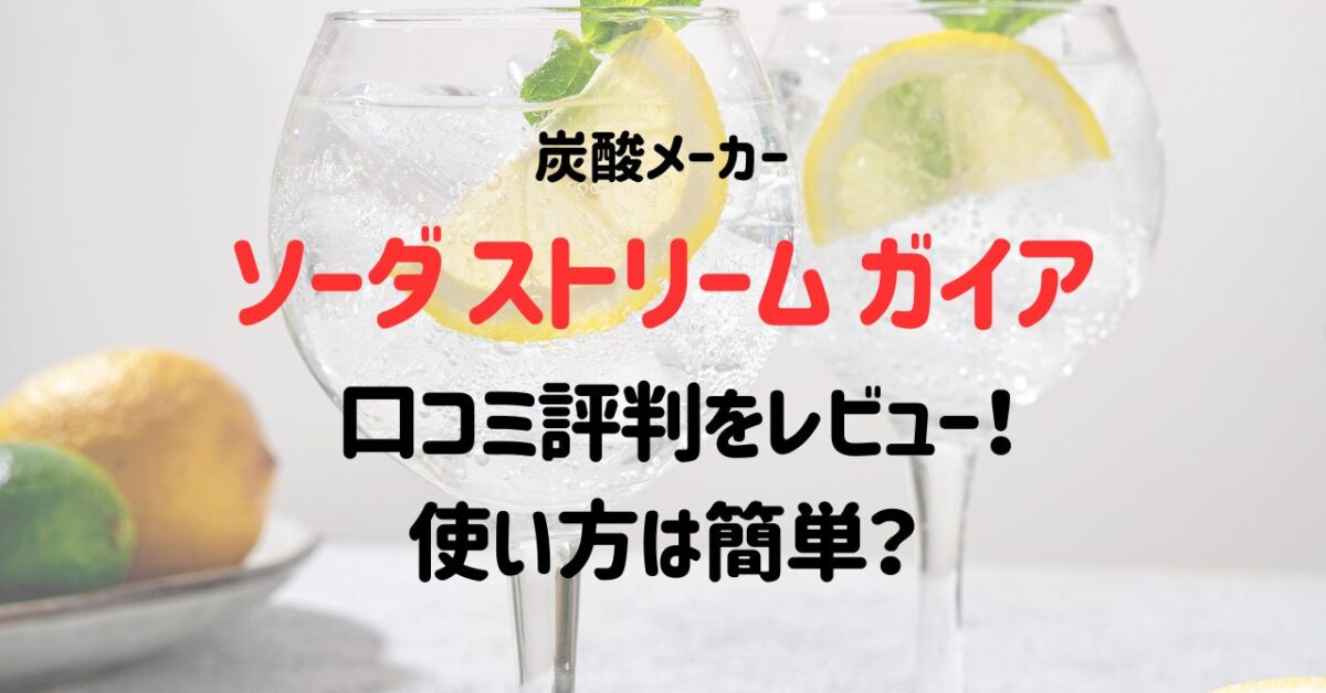 ソーダ ストリーム ガイアの口コミ評判をレビュー！使い方は簡単？