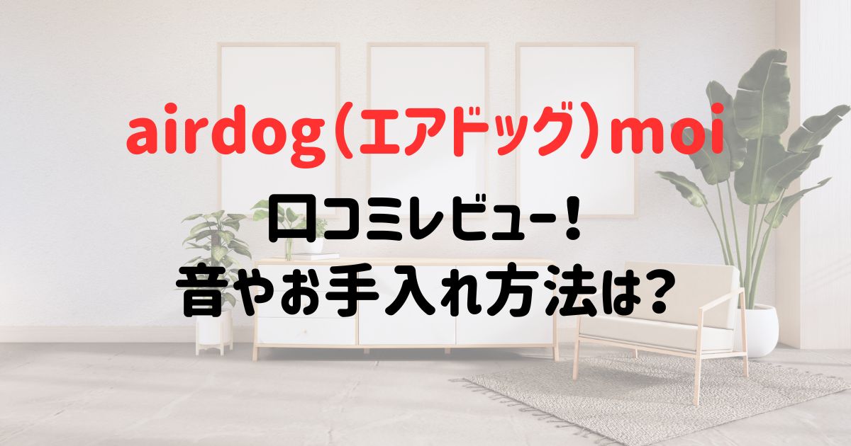 airdog（エアドッグ）moiの口コミレビュー！音やお手入れ方法は？