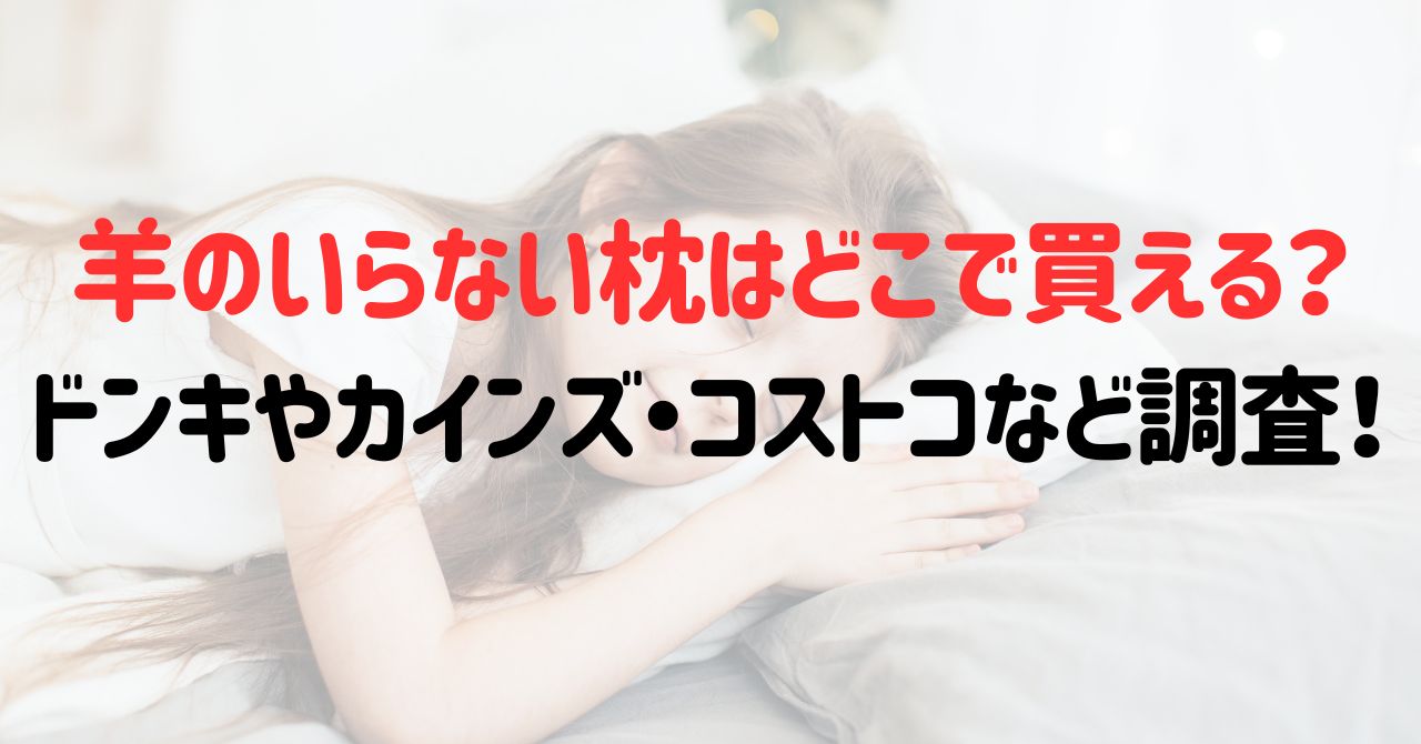 羊のいらない枕はどこで買える？ドンキやカインズ・コストコなど調査！